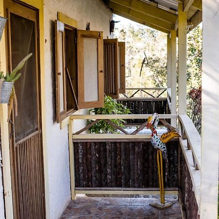 Pine Ridge Lodge San Ignacio Εξωτερικό φωτογραφία