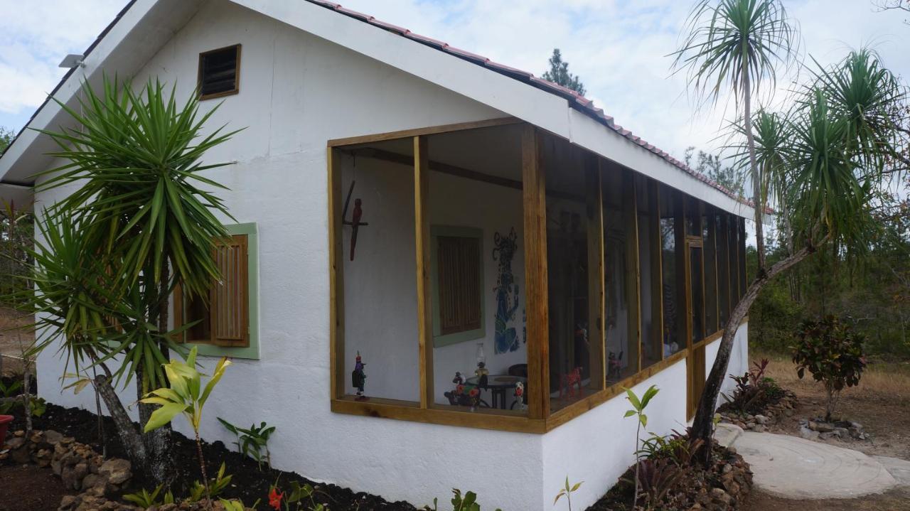 Pine Ridge Lodge San Ignacio Εξωτερικό φωτογραφία