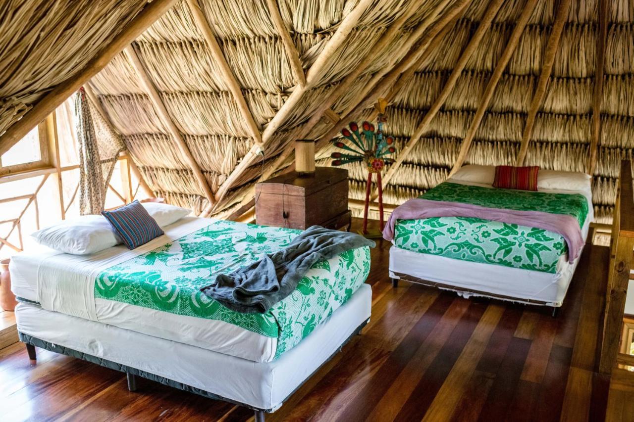 Pine Ridge Lodge San Ignacio Εξωτερικό φωτογραφία