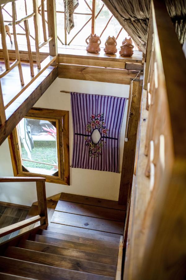Pine Ridge Lodge San Ignacio Εξωτερικό φωτογραφία