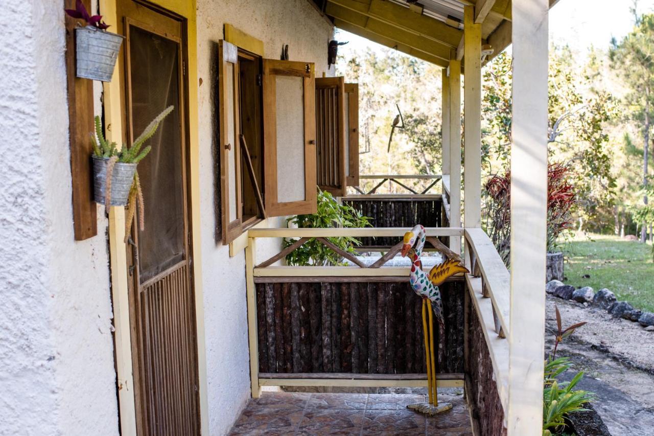Pine Ridge Lodge San Ignacio Εξωτερικό φωτογραφία