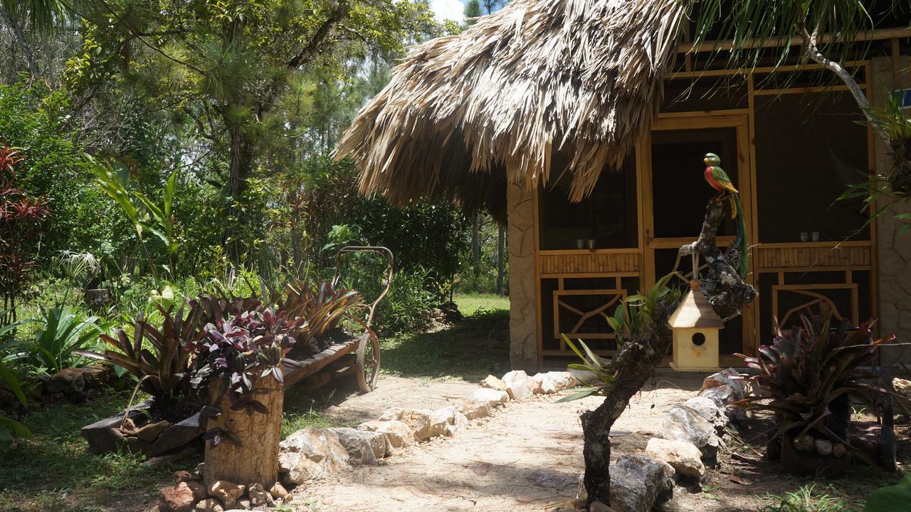 Pine Ridge Lodge San Ignacio Εξωτερικό φωτογραφία